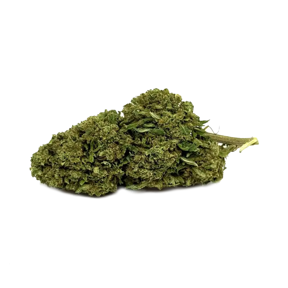 Gorilla Glue