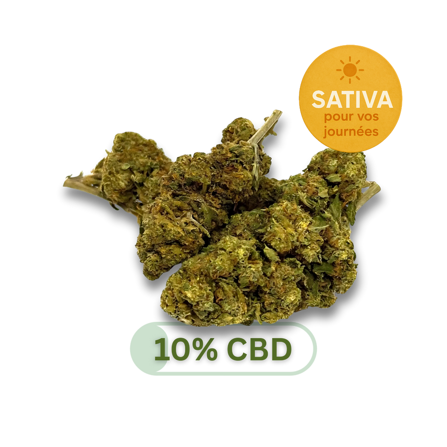 Strawberry Haze image 1