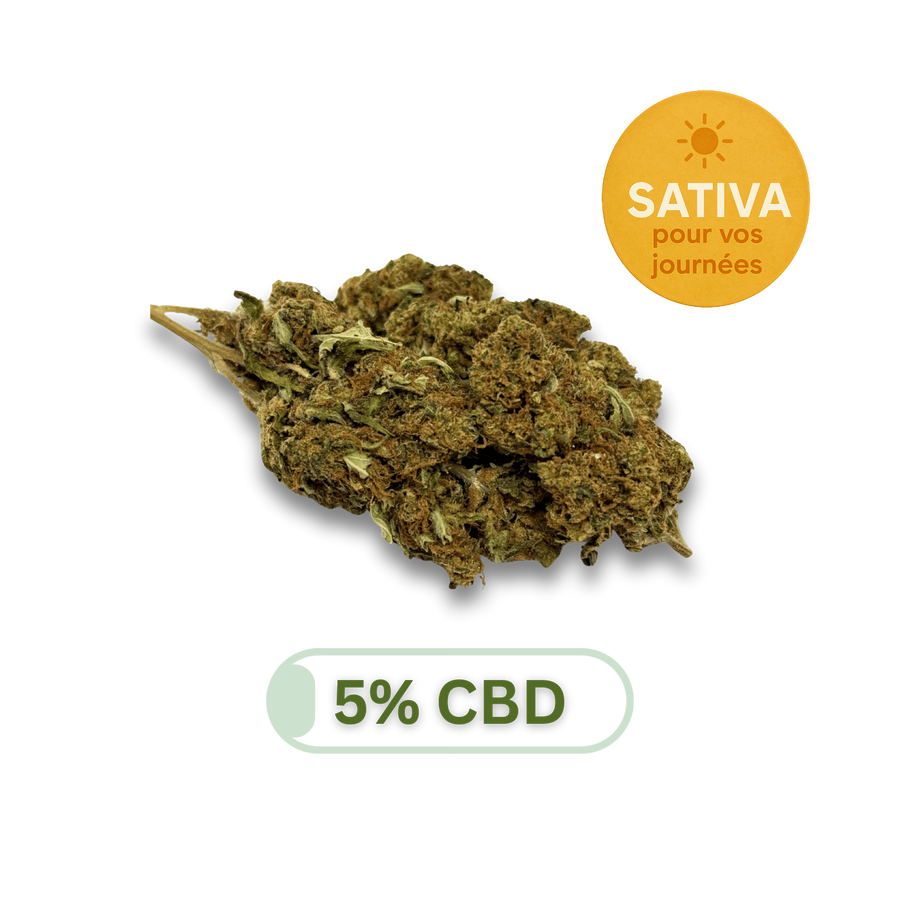 LEMON HAZE image 1