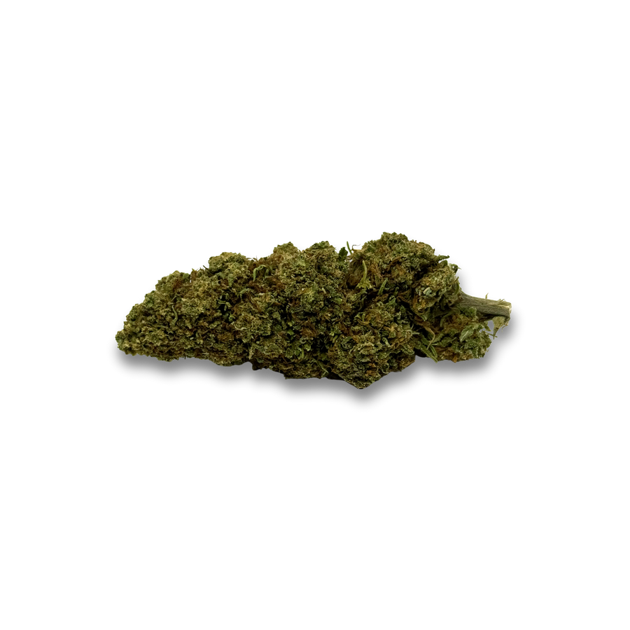 Orange Bud image 2